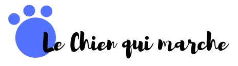 Le Chien Qui Marche